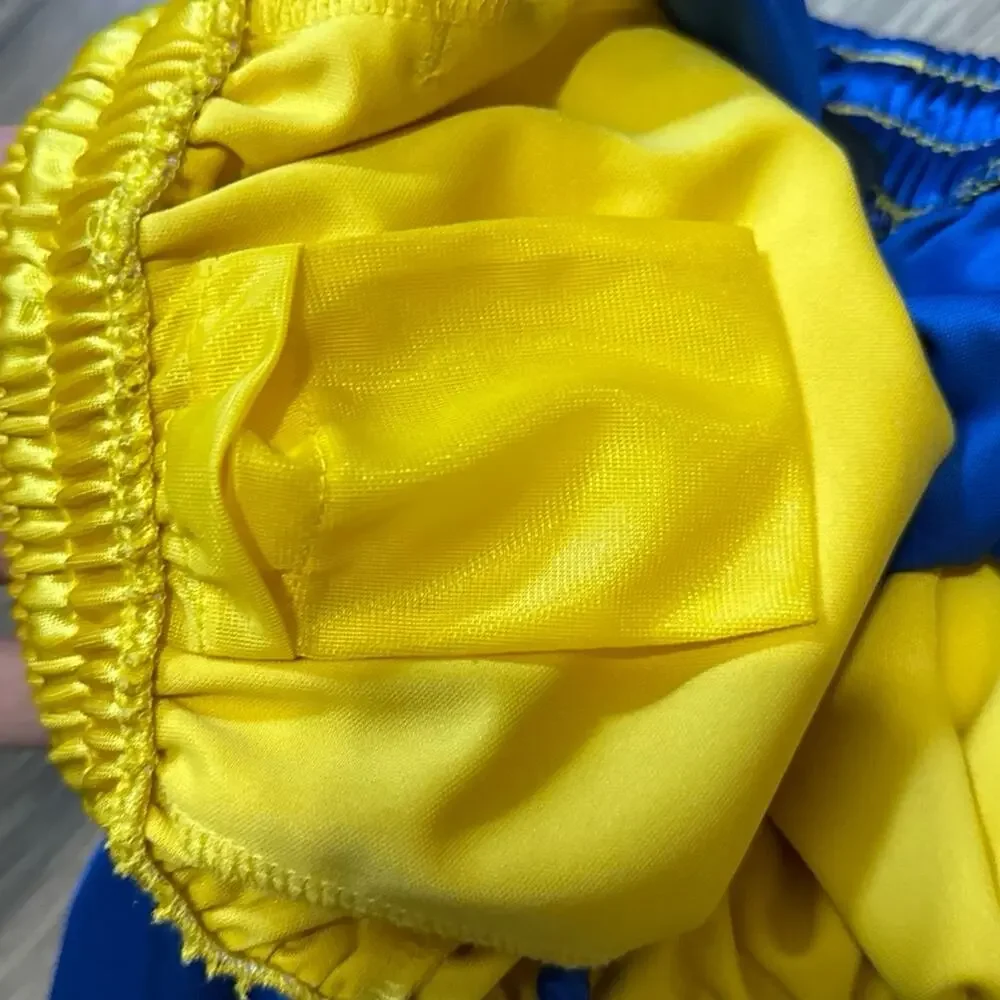 Y2K Air Jordan Laney Silky Dazzle Shiny Baketball Shorts